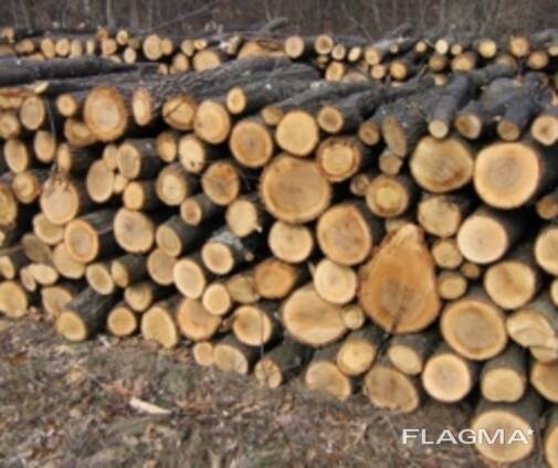 Куплю дрова!!!