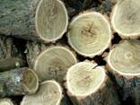 Куплю дрова!!! - фото 3