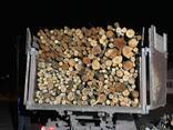 Куплю дрова - фото 1