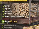 Куплю дрова паливні оптом по Україні - фото 1