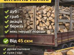 Куплю дрова паливні оптом по Україні