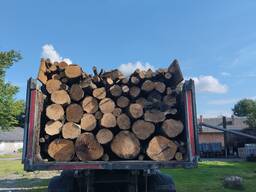 Куплю дрова твердих порід