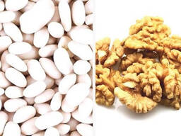 Куплю горіх та квасолю