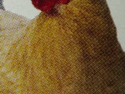 М'ясо свинини, яловичини, курки, кролика