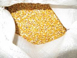 Куплю кукурузу биту