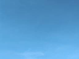 Куплю соняшник