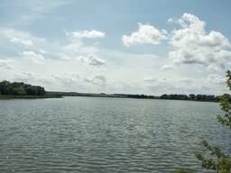 Куплю ставок , візьму в аренду ставок, водойму , рибне господарство від в Київській обла