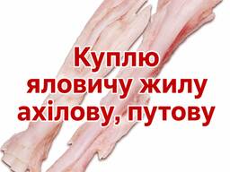 Куплю яловичу жилу ахілову, путову