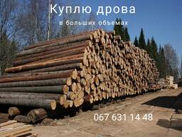 Куплю дрова