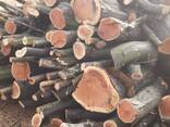 Куплю дрова - фото 2