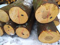 Куплю дрова отсортированные дуба, ясеня, ореха, ольхи, клена