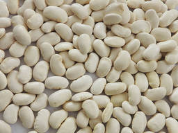 Куплю фасоль белую любые объемы