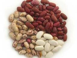 Куплю фасоль от 10 тонн