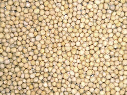 Куплю горчицу