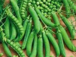 Куплю горох