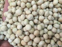 Куплю горох