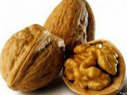 Куплю грецкие орехи!!!