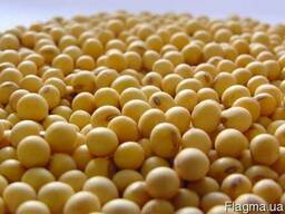 Куплю зерно товарной сои