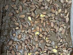 Куплю Кондитерскую Некондицию ОПТом