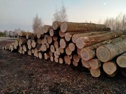 Куплю кругляк ясеня