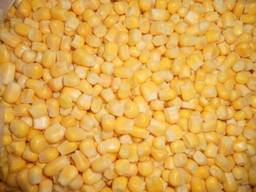 Куплю кукурудзу