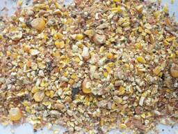 Куплю кукурузную крупку, мучку.