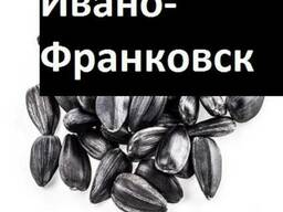 Куплю Подсолнух Ивано-Франковск Украина