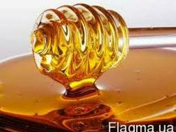 Куплю Мёд с Антибиотиком 2018-19г.