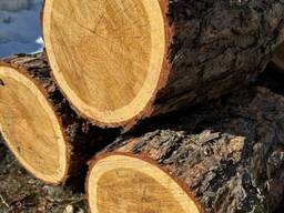 Куплю ОПТОМ дрова. Твердих порід.