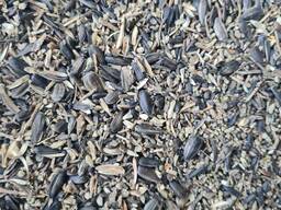 Куплю отходы подсолнуха (семечки) некондиция