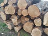 Дуб дрова ПВ техсировину, дошку н/о та о/б - фото 6
