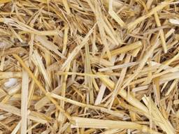 Куплю солому (мертвый отход)