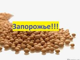 Куплю Сою Запорожье Украина