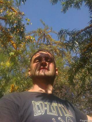 Куплю: свіжа обліпиха дорогo