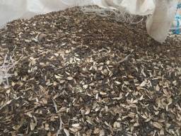 Куплю відходи соняшника