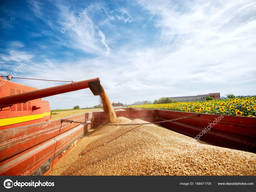 Куплю ячмень