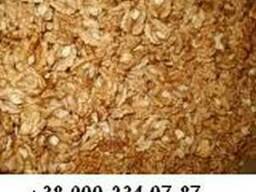 Куплю ядро грецкого ореха