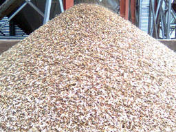 Куплю зерновідходи