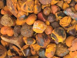 Куплю желчные говяжьи камни