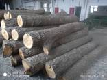 Купуємо дуб 3-4 сорт: дошку, дрова ПВ та техсировину - фото 9