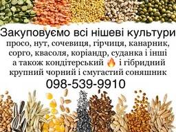 Купуємо кондитерський соняшник