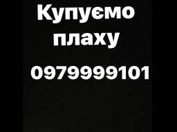 Купуємо плаху