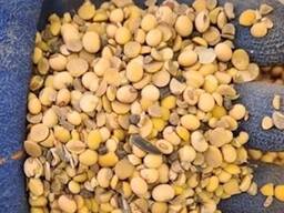 Купуємо на переробку половинки сої