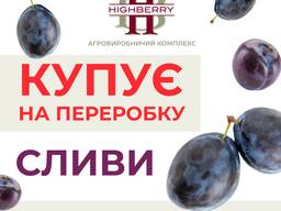 Купуємо СЛИВИ на переробку по всій території України, Волинська обл.