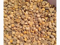 Купуємо сою (половинки)