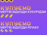 Купуємо відходи зернових - фото 1