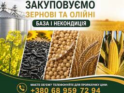 Купуємо зернові та олійні культури будь-якої якості