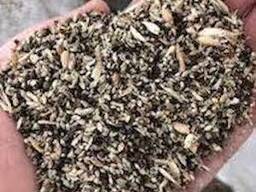 Купуємо зерновідходи, некондиційне зерно