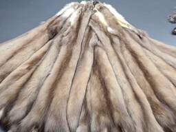 Купую хутро куниці