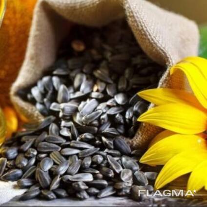 Купую соняшник швидкий розрахунок, Одесская обл